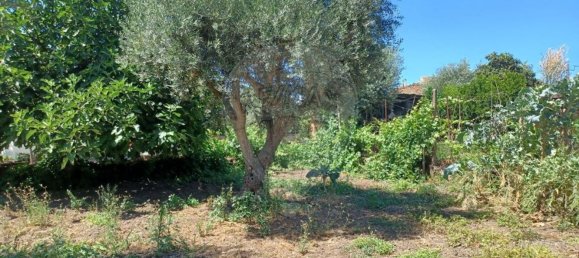 1 غرف نوم منزل في Fatela, Portugal رقم 31069 4