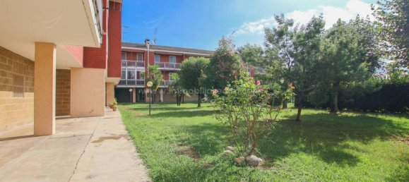 3-Zimmer Wohnung in Momo, Italy, Nr. 24652 28