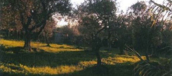 12-Zimmer Villa in Sassari, Italy, Nr. 164820 7