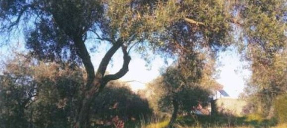 12-Zimmer Villa in Sassari, Italy, Nr. 164820 5