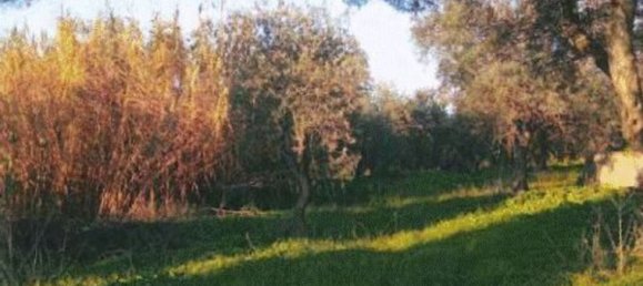 12-Zimmer Villa in Sassari, Italy, Nr. 164820 6