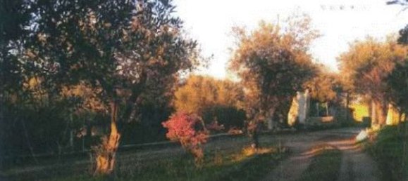 12-Zimmer Villa in Sassari, Italy, Nr. 164820 4