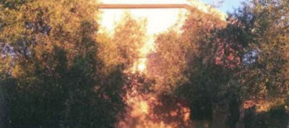 12-Zimmer Villa in Sassari, Italy, Nr. 164820 13