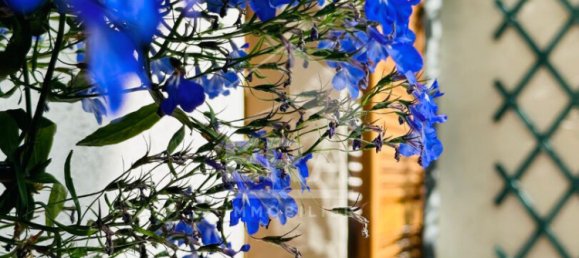 7غرفة قلاع في Merlimont, France رقم 219176 12