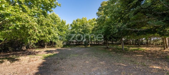 4 Schlafzimmer Haus in Santarem, Portugal, Nr. 132875 30