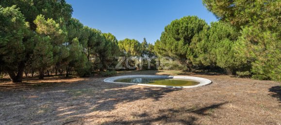 4 Schlafzimmer Haus in Santarem, Portugal, Nr. 132875 38