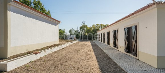 4 Schlafzimmer Haus in Santarem, Portugal, Nr. 132875 31