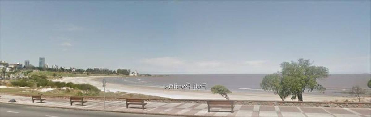 3 bedrooms Apartment in Montevideo, Uruguay No. 335