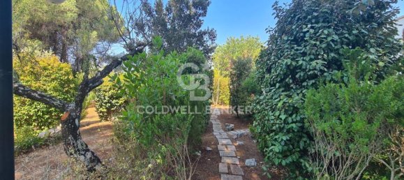 2 bedrooms Villa in Martina Franca, Italy No. 389914 34