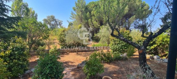 2 bedrooms Villa in Martina Franca, Italy No. 389914 32