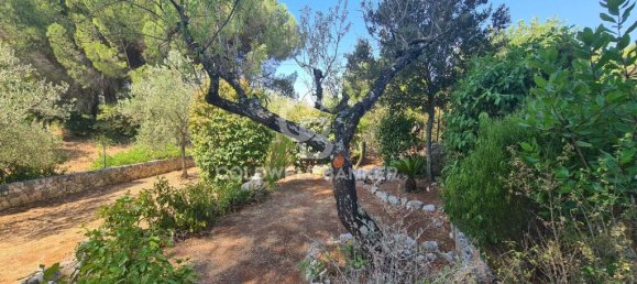 2 bedrooms Villa in Martina Franca, Italy No. 389914 35