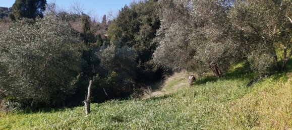 9000m² Hotel in Corfu, Greece No. 3306 5