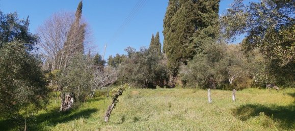 9000m² Hotel in Corfu, Greece No. 3306 4