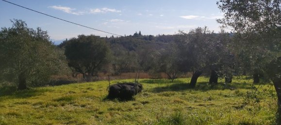 9000m² Hotel in Corfu, Greece No. 3306 6