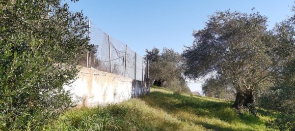 9000m² Hotel in Corfu, Greece No. 3306 7