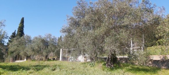 9000m² Hotel in Corfu, Greece No. 3306 8