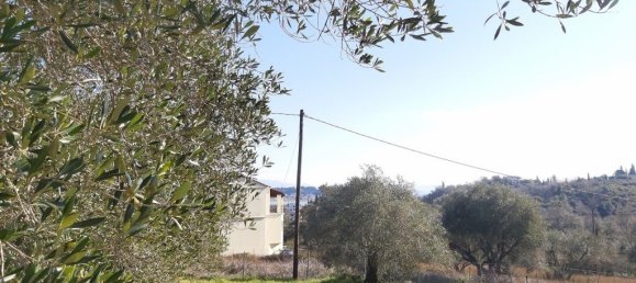 9000m² Hotel in Corfu, Greece No. 3306 11