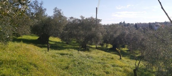 9000m² Hotel in Corfu, Greece No. 3306 3