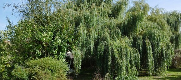 4 chambres Maison à Marcilly-en-Gault, France No. 86304 15