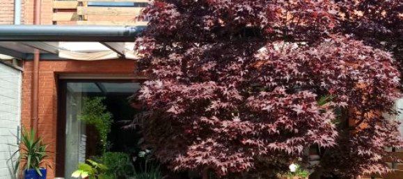 5 rooms Townhouse in Cologne, Germany No. 234480 2