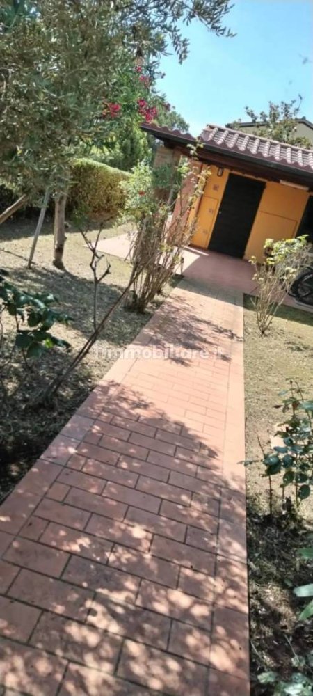 استوديو في Cecina, Italy رقم 116974