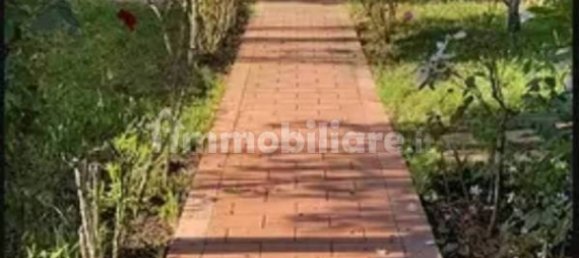 استوديو في Cecina, Italy رقم 116974 6