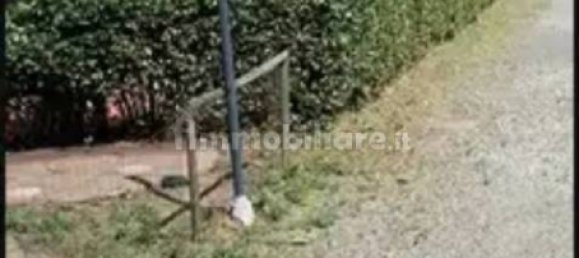 استوديو في Cecina, Italy رقم 116974 7