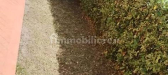 استوديو في Cecina, Italy رقم 116974 4