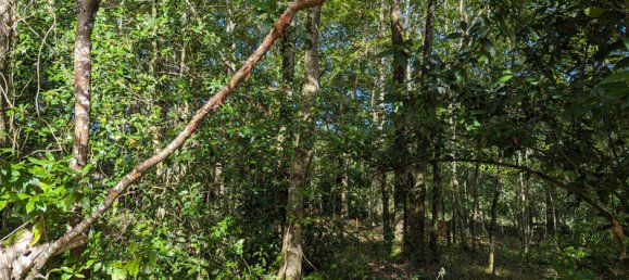 2 غرف نوم قلاع في Vicq-Exemplet, France رقم 93433 9