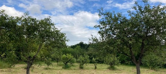 1530m² Land in Yzeures-sur-Creuse, France No. 61966 3