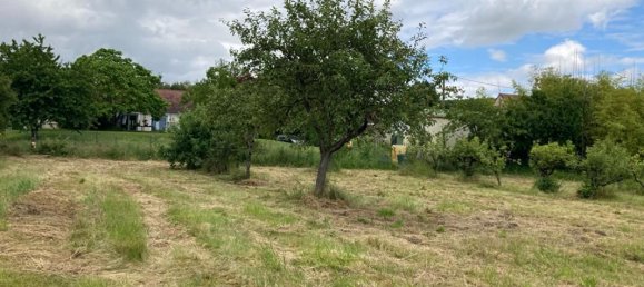 1530m² Land in Yzeures-sur-Creuse, France No. 61966 6