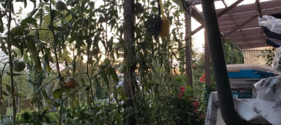 Grundstück in Enzkreis, Germany, Nr. 331522 3