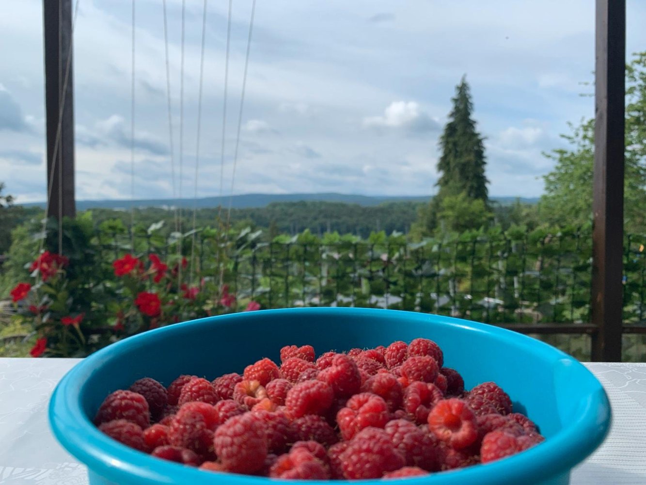 Grundstück in Enzkreis, Germany, Nr. 331522