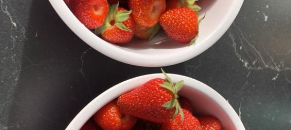 Grundstück in Enzkreis, Germany, Nr. 331522 2