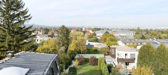 13-Zimmer Villa in Perchtoldsdorf, Austria, Nr. 105076 4