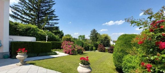 13-Zimmer Villa in Perchtoldsdorf, Austria, Nr. 105076 11