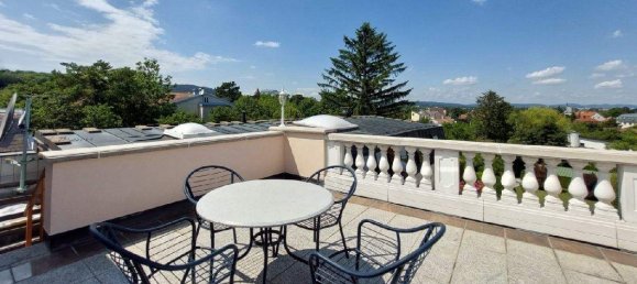 13-Zimmer Villa in Perchtoldsdorf, Austria, Nr. 105076 12