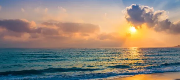 4 bedrooms Villa in Kissonerga, Cyprus No. 144 14