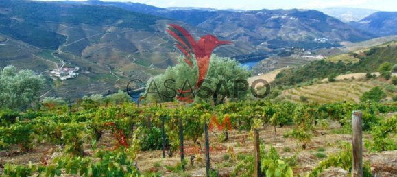 Land in Quarteira, Portugal No. 190612 23