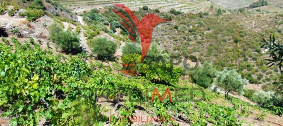 Land in Quarteira, Portugal No. 190612 31