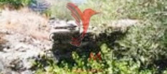 Land in Quarteira, Portugal No. 190612 35