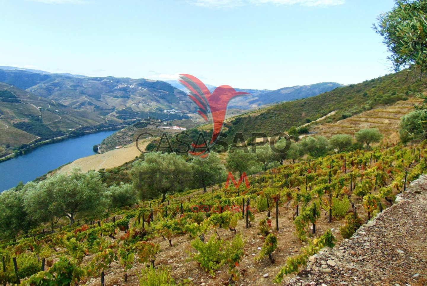  Land in Quarteira, Portugal No. 190612