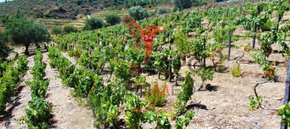 Land in Quarteira, Portugal No. 190612 22