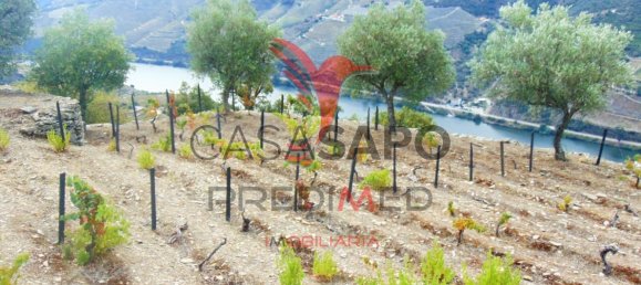 Land in Quarteira, Portugal No. 190612 6