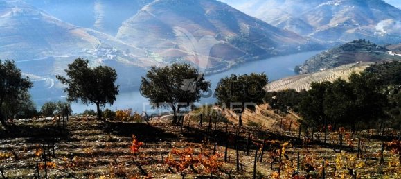 Land in Quarteira, Portugal No. 190612 39