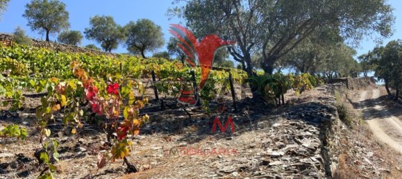 Land in Quarteira, Portugal No. 190612 26