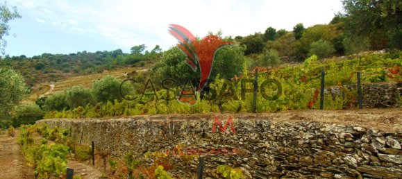 Land in Quarteira, Portugal No. 190612 20