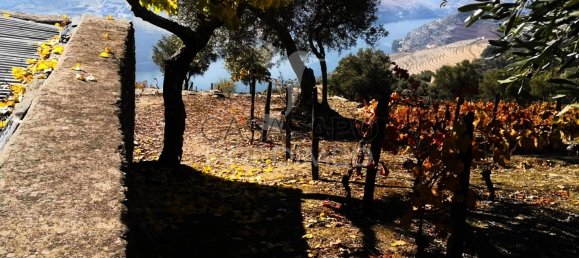 Land in Quarteira, Portugal No. 190612 25