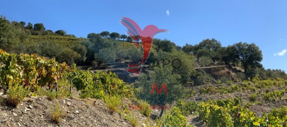 Land in Quarteira, Portugal No. 190612 29