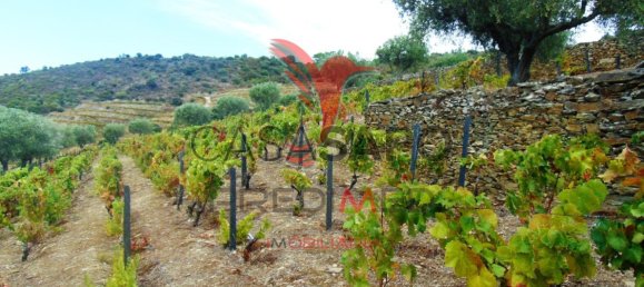 Land in Quarteira, Portugal No. 190612 24